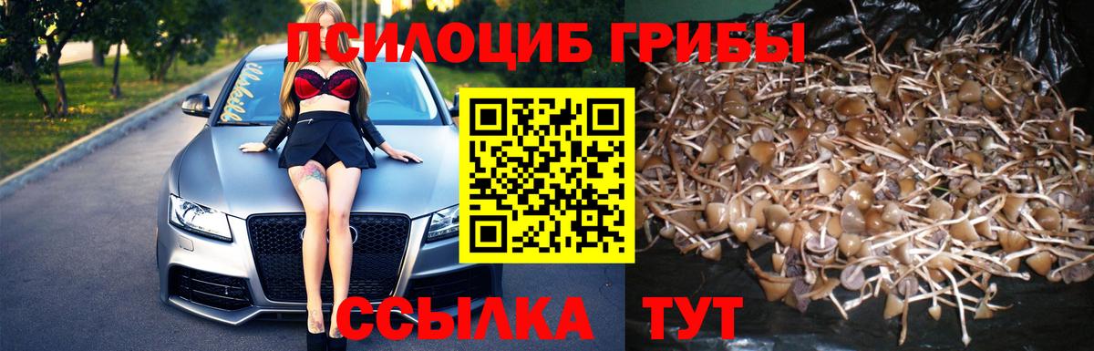 Псилоцибиновые грибы GOLDEN TEACHER  Вход с VPN  Ухта  Галлюциногенные грибы мухоморы 