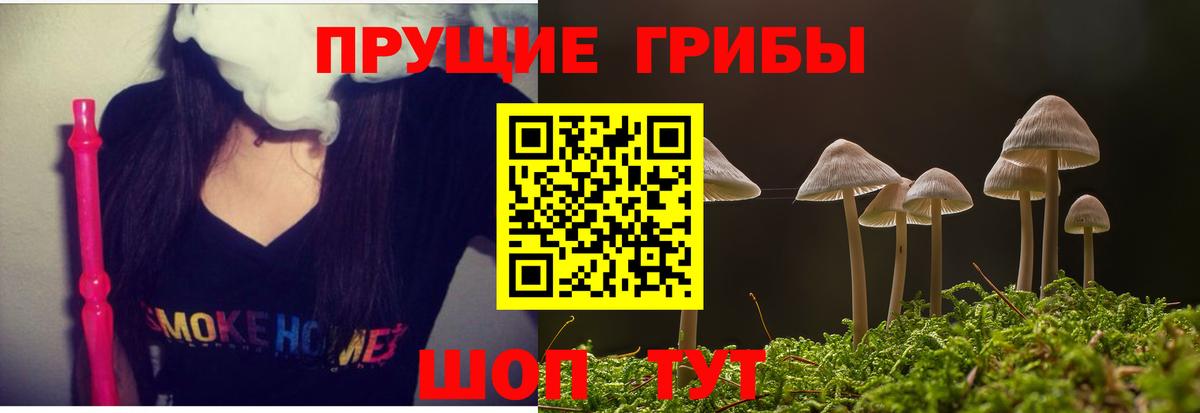 Галлюциногенные грибы Cubensis Ухта